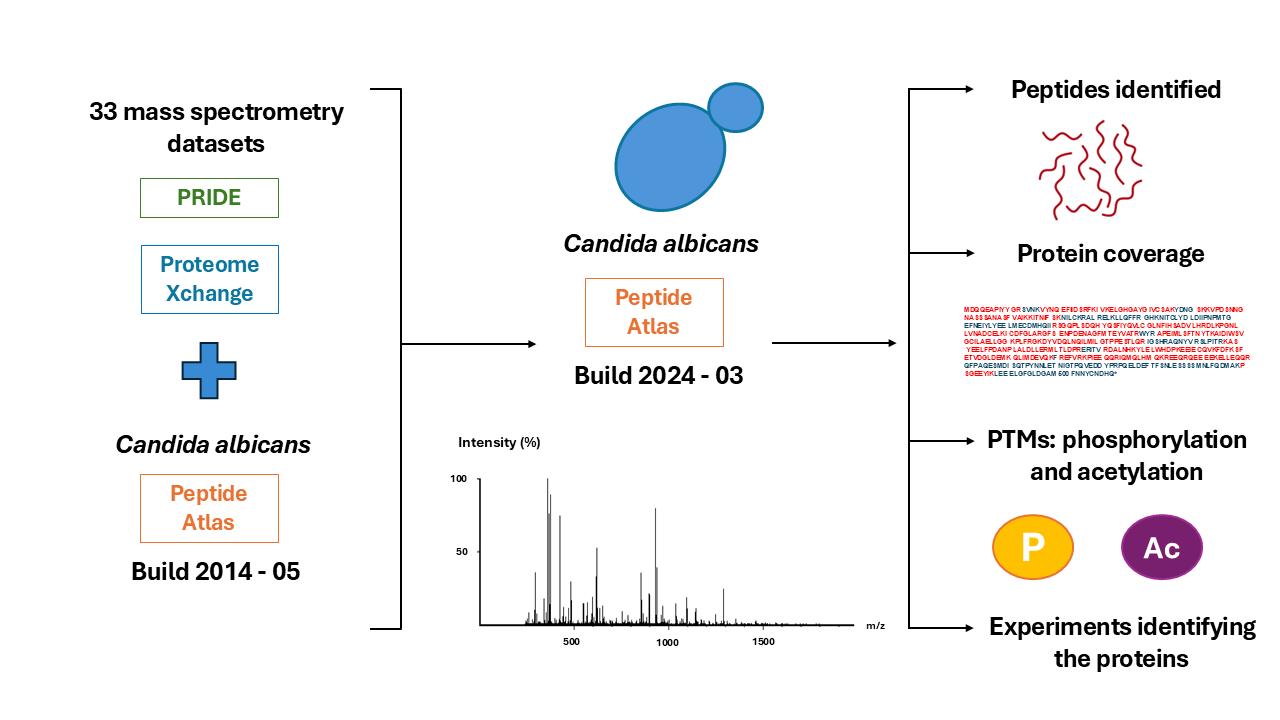 Nuevo artículo: Candida albicans: A Comprehensive View of the Proteome